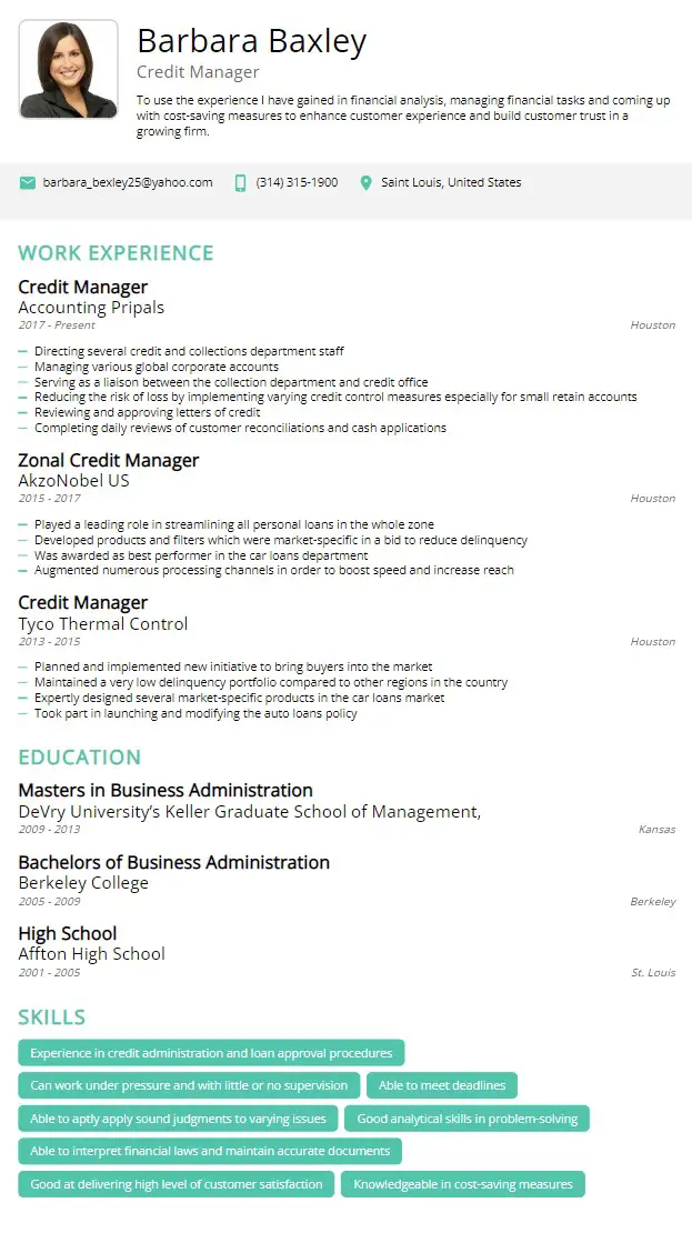 credit manager resume example